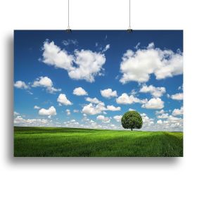 Lonely Tree Canvas Print or Poster (Type: Poster Print, size: 28" x 20" / 70cm x 50cm (approx))