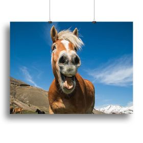 Funny shot of horse with crazy expression Canvas Print or Poster (Type: Standard Framed Canvas Print, size: 16" x 12" / 42cm x 30cm (approx))